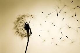 Rational Hope&#8230;.What?!!