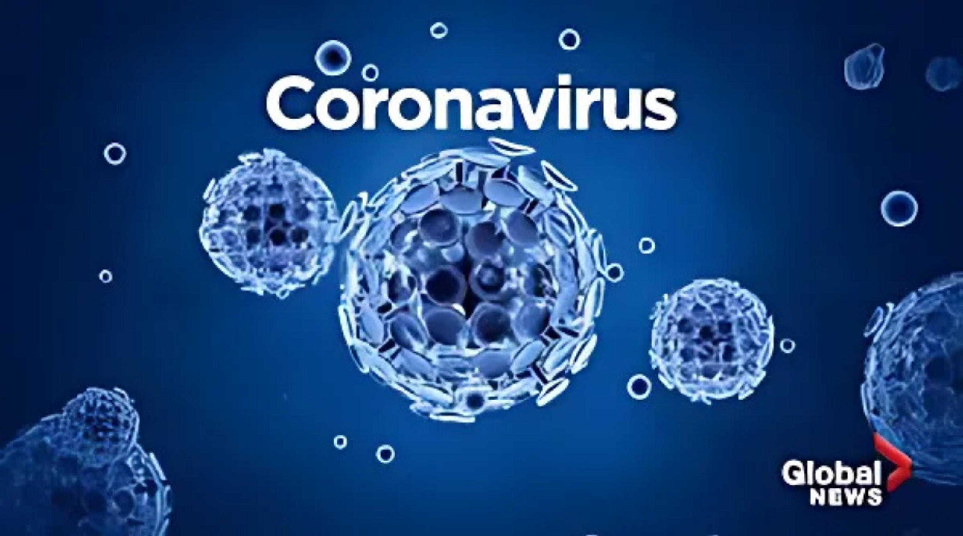 Unexpected Echoes in the Coronavirus Cacophony