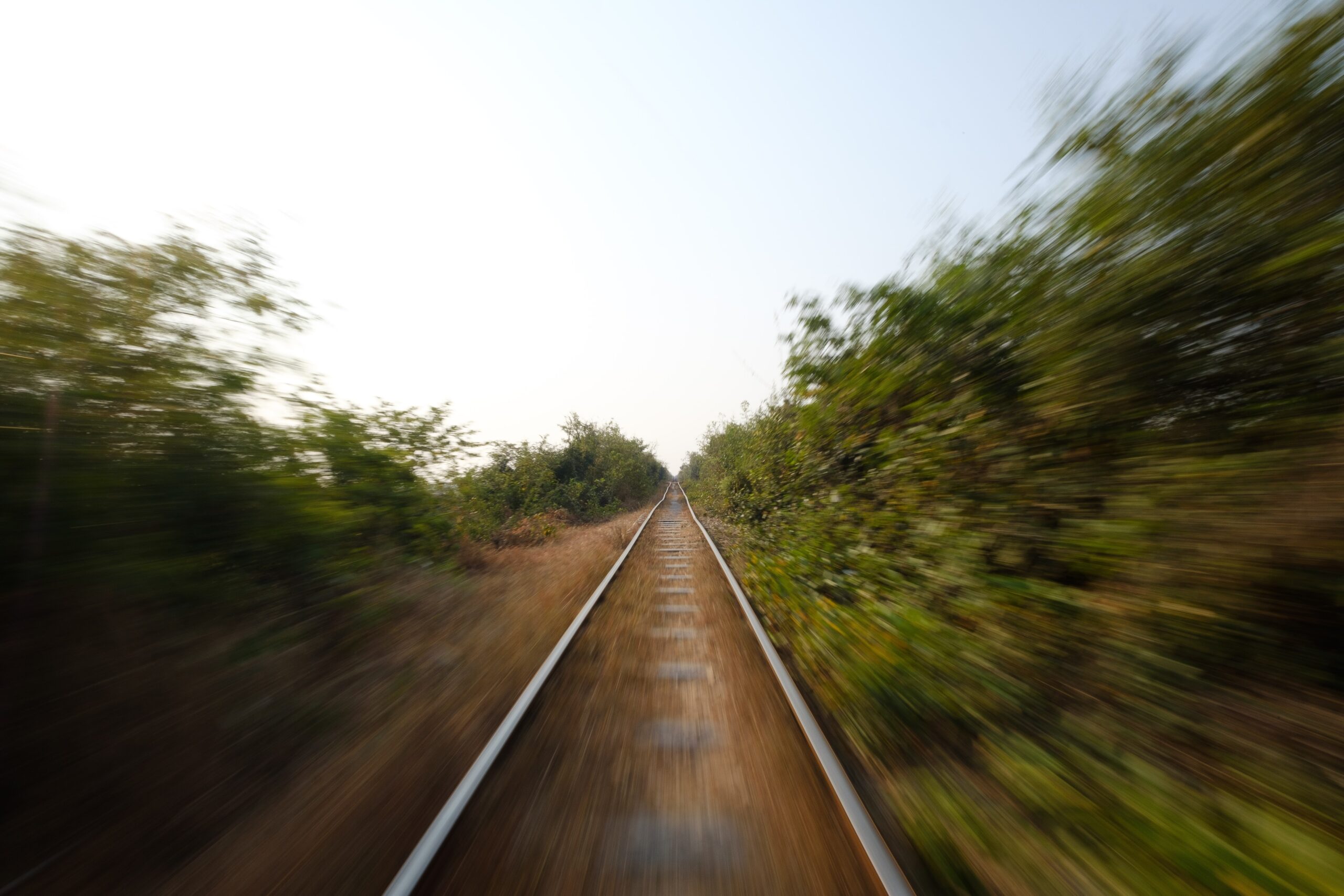 A Lifelong Train Ride