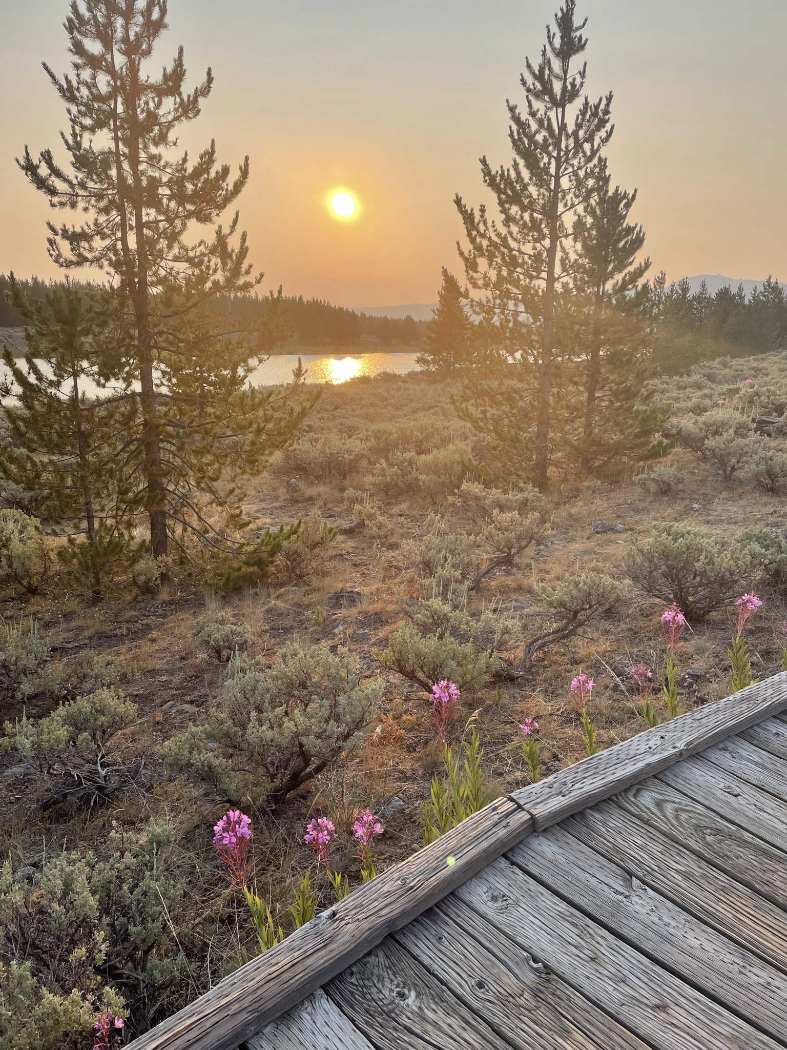 Adventure Awaits: Safe Travel Tips from a Seasoned Mom