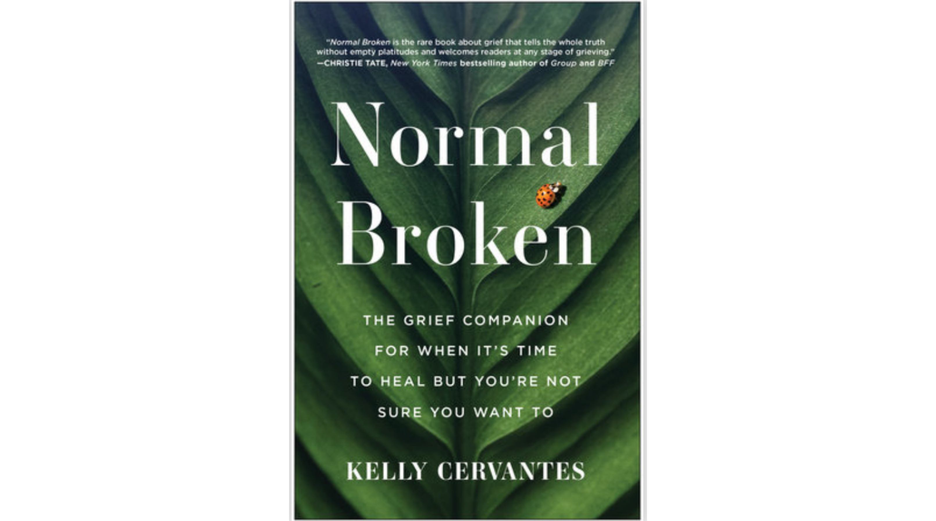 Normal Broken: The book I didn’t know I needed