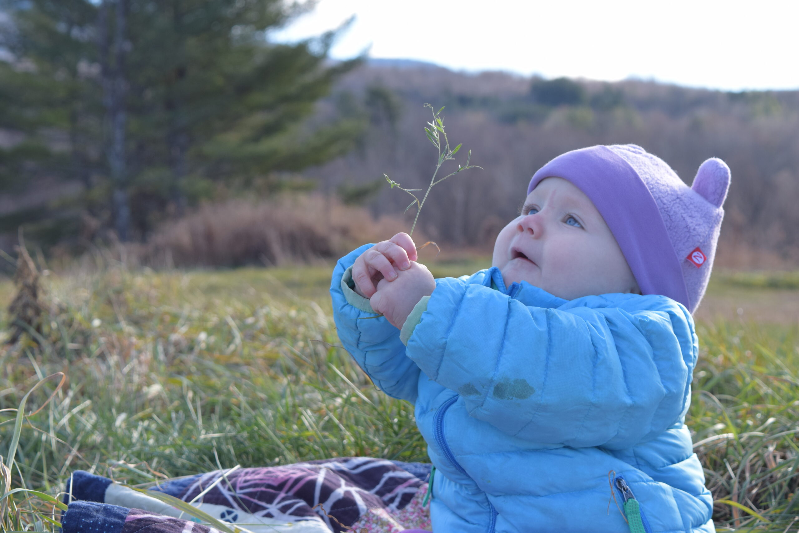 What the Annual Report Cannot Capture: The Story of One Family's Network